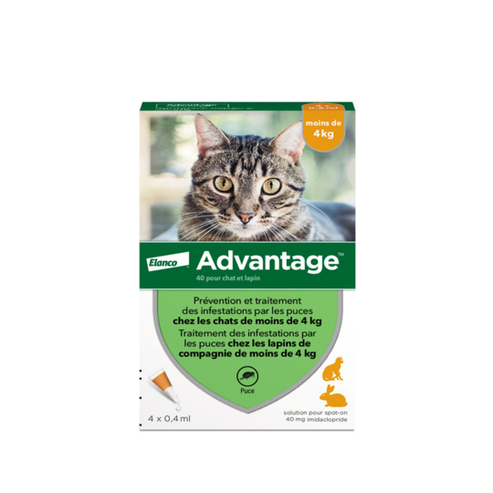 Advantage 40 Chat et Lapin <4 kg – Antiparasitaire externe chat et lapin moins de 4 kg – Solution pour application cutanée – Boîte de 4 pipettes de 0,8 ml