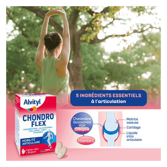 Alvityl Chondroflex Lot 3x60 comprimés
