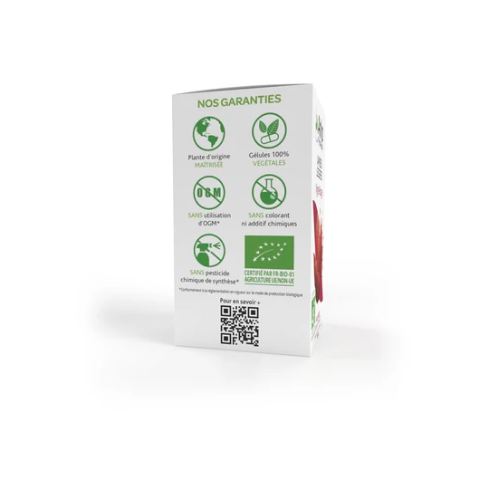 Arkopharma Arkogélules Vigne rouge BIO - Confort circulatoire & jambes légères 45 gélules