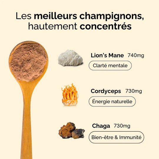 Bonjour Boisson Adaptogène Saveur Original 180 g