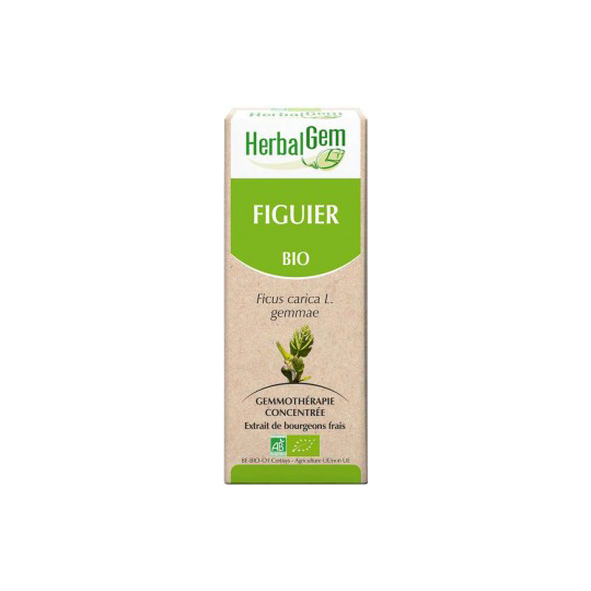 Bourgeon de Figuier Bio - 30 ml