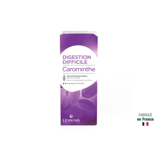 Lehning Carominthe Solution Buvable 90 ml – Médicament pour digestions difficiles et ballonnements