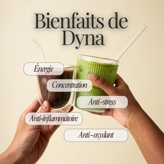 Dyna Super Matcha Focus poudre matcha énergie & concentration 15 doses