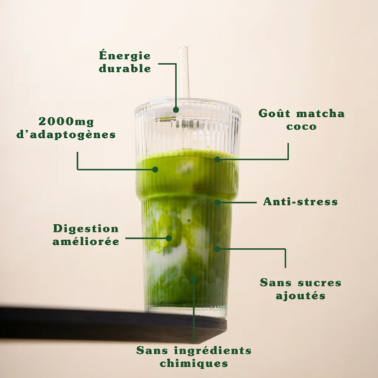 Dyna Super Matcha Focus poudre matcha énergie & concentration 30 doses