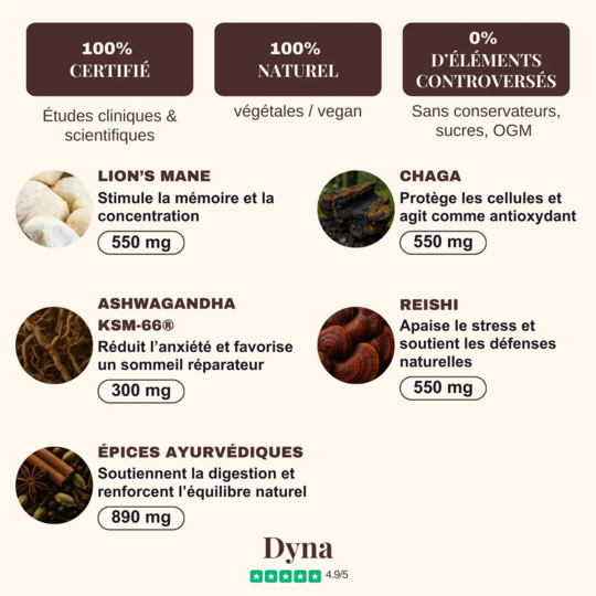 Dyna Super Chaï Sérénité Boisson détente & bien-être 15 doses