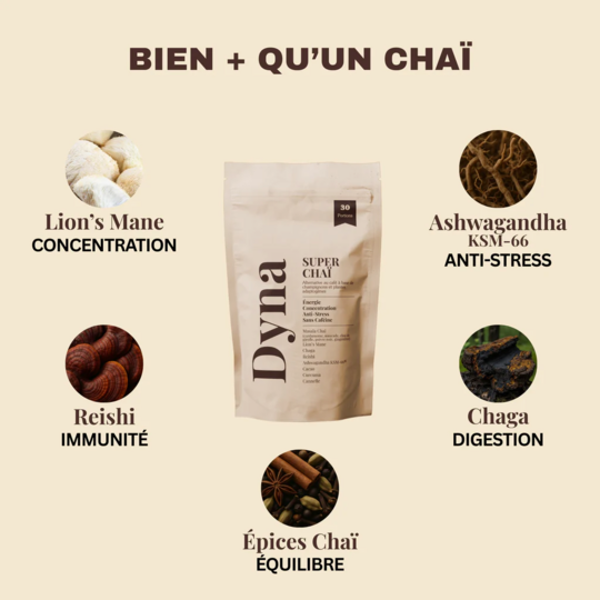 Dyna Super Chaï Sérénité Boisson détente & bien-être 15 doses