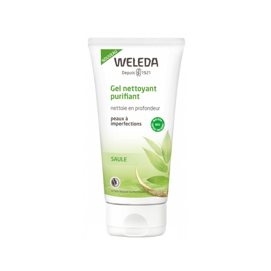 Gel Nettoyant Purifiant Bio - 100 ml