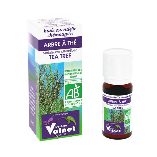 HUILE ESSENTIELLE - Arbre à Thé Bio - 10 ml