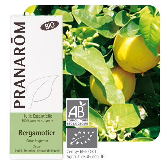 HUILE ESSENTIELLE - Bergamote Bio - 10ml