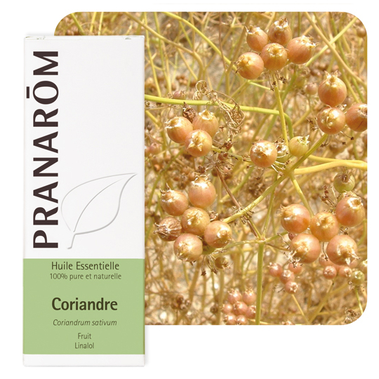 HUILE ESSENTIELLE - Coriandre - 10 ml