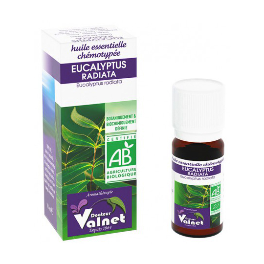 HUILE ESSENTIELLE - Eucalyptus Radiata Bio - 10 ml