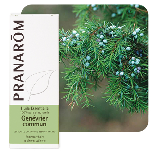 HUILE ESSENTIELLE - Génévrier Commun - 5 ml