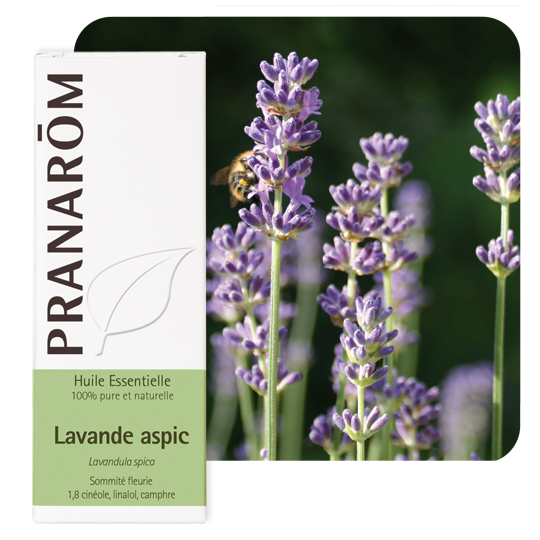 HUILE ESSENTIELLE - Lavande Aspic - 10 ml