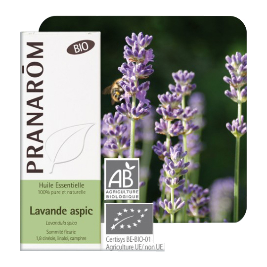 HUILE ESSENTIELLE - Lavande Aspic Bio - 10 ml