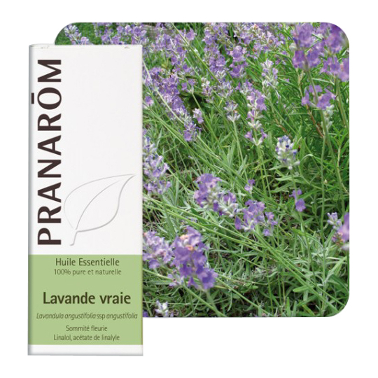 HUILE ESSENTIELLE - Lavande Vraie - 10 ml