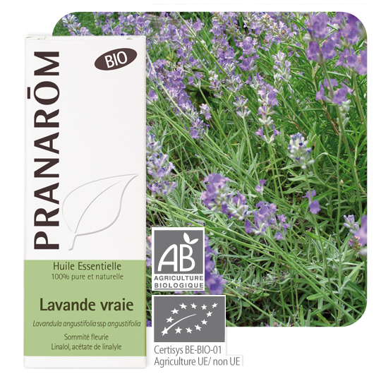 HUILE ESSENTIELLE - Lavande Vraie Bio - 10 ml