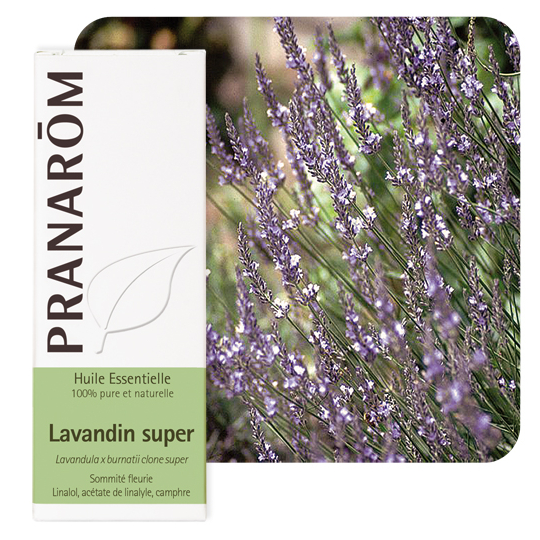 HUILE ESSENTIELLE - Lavandin Super - 10 ml