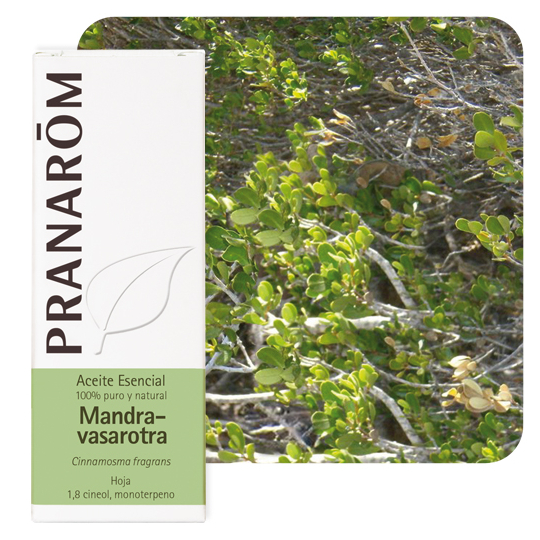 HUILE ESSENTIELLE - Mandravasarotra Saro - 10 ml