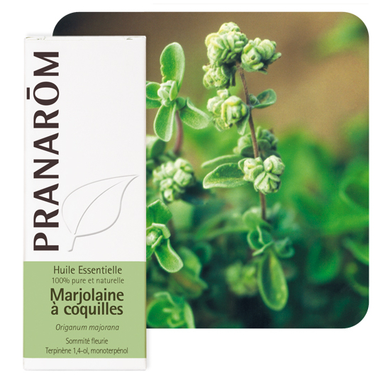 HUILE ESSENTIELLE - Marjolaine à Coquilles - 5 ml