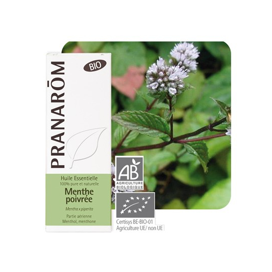 HUILE ESSENTIELLE - Menthe Poivrée Bio - 5 ml