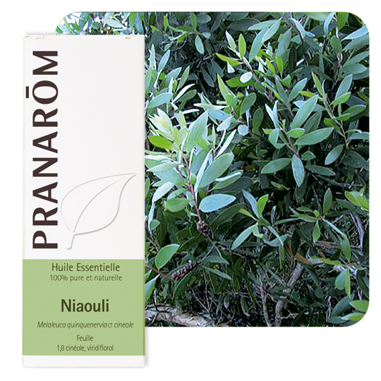 HUILE ESSENTIELLE - Niaouli - 10 ml
