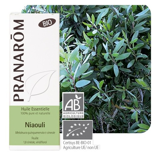 HUILE ESSENTIELLE - Niaouli Bio - 10 ml