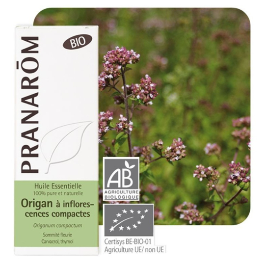 HUILE ESSENTIELLE - Origan à Inflorescences Compactes - 10 ml