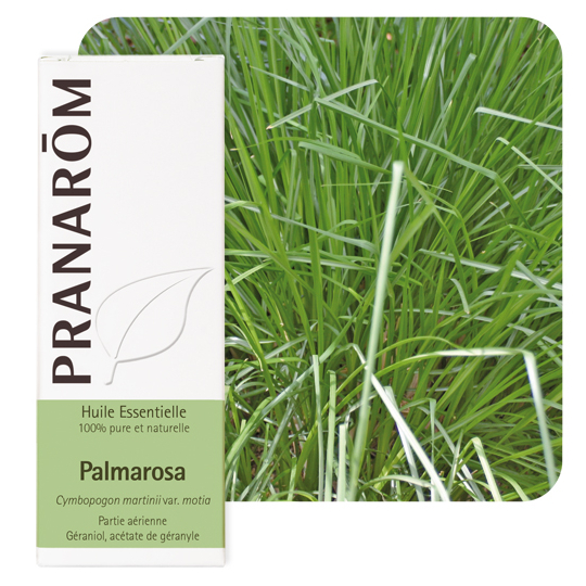 HUILE ESSENTIELLE - Palmarosa - 10ml