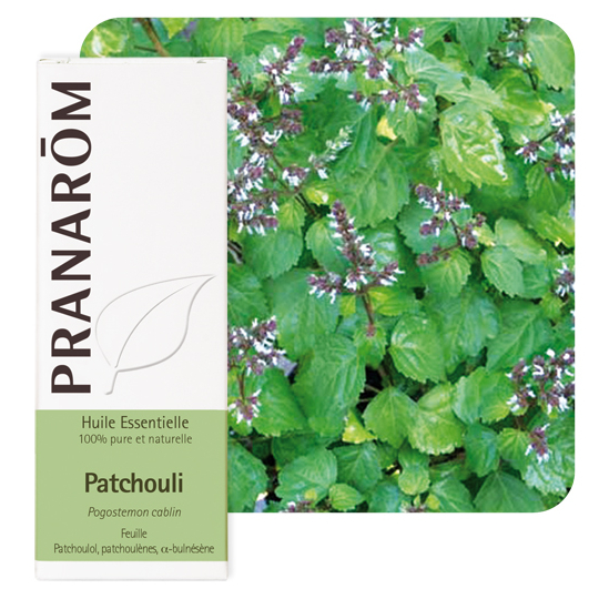 HUILE ESSENTIELLE - Patchouli - 5 ml