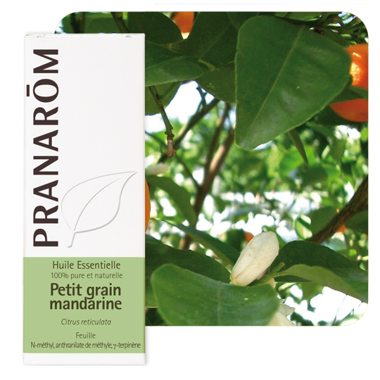 HUILE ESSENTIELLE - Petit Grain Mandarine - 5 ml