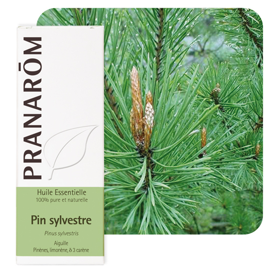 HUILE ESSENTIELLE - Pin Sylvestre - 10 ml