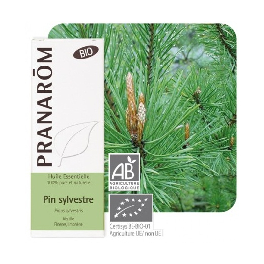 HUILE ESSENTIELLE - Pin Sylvestre Bio - 10 ml