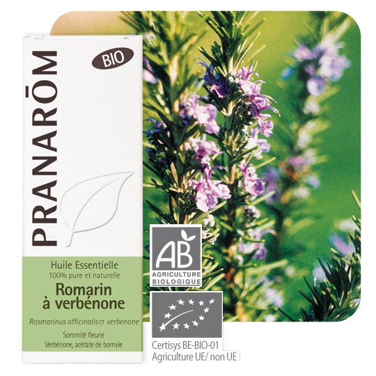 HUILE ESSENTIELLE - Romarin à Verbénone Bio - 5 ml