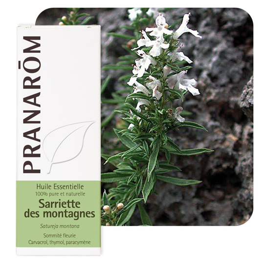 HUILE ESSENTIELLE - Sarriette des Montagnes - 5 ml