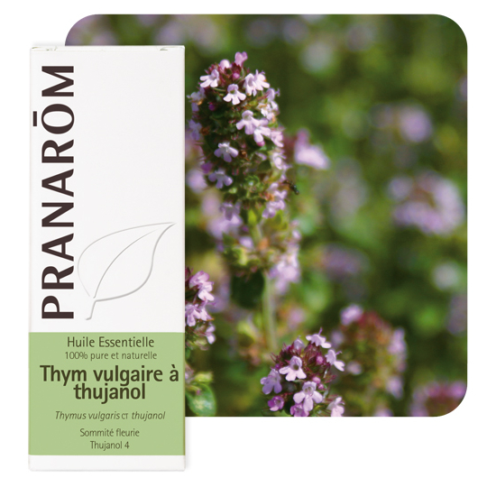 HUILE ESSENTIELLE - Thym Vulgaire à Thujanol - 5 ml