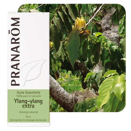 HUILE ESSENTIELLE - Ylang-ylang Extra - 5 ml
