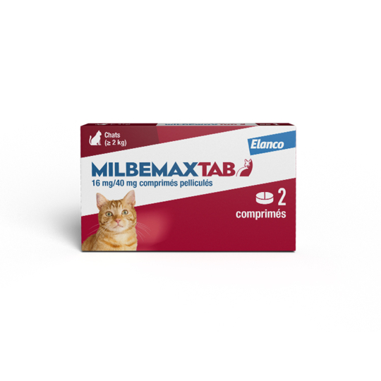 Milbemax Chat >2 kg – Vermifuge chat plus de 2 kg – Comprimés – Boîte de 2 comprimés