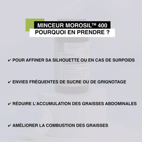 Nat & Form Morosil Minceur 400 60 gélules