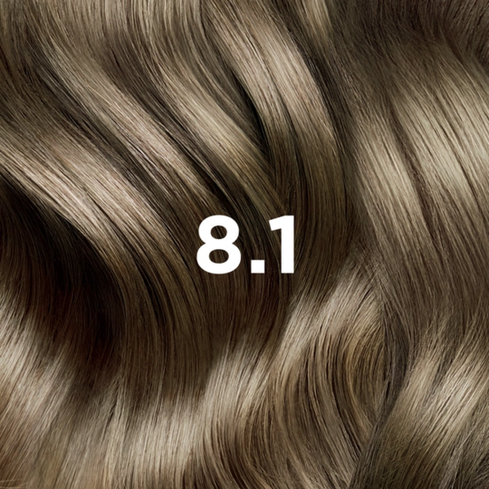 PhytoColor Coloration Permanente 8.1 Blond Clair Cendré