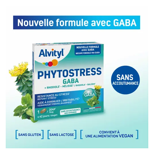 Alvityl Phytostress Gaba 28 Comprimés