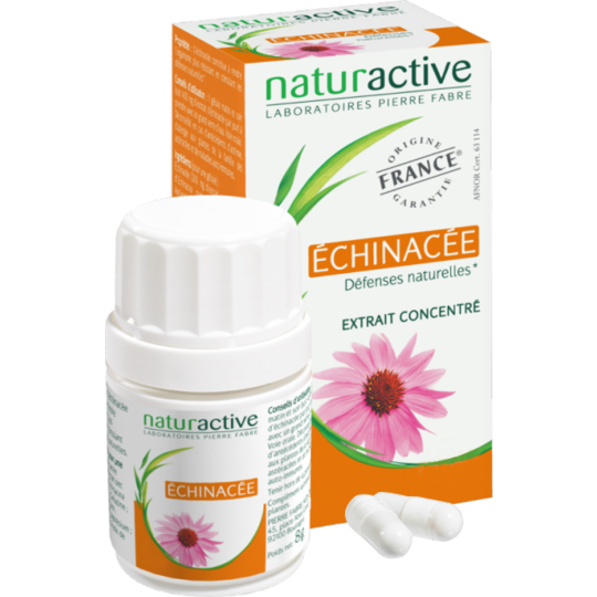PHYTOTHERAPIE - Echinacée - 60 gélules