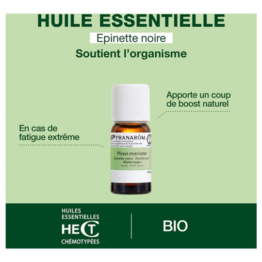 Pranarôm Huile essentielle épinette noire bio 10 ml — tonifiant anti-fatigue naturel