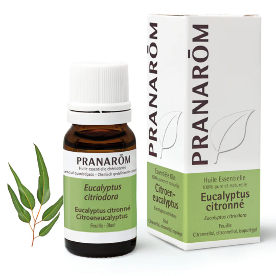 Pranarom Huile Essentielle d'Eucalyptus citronné 10 ml