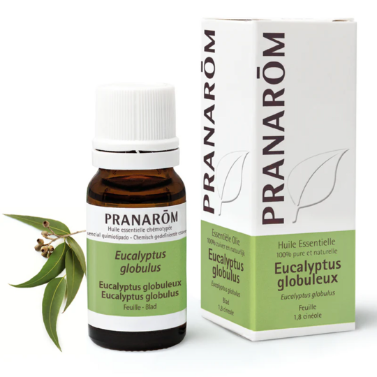 Pranarom Huile Essentielle d'Eucalyptus globuleux 10 ml