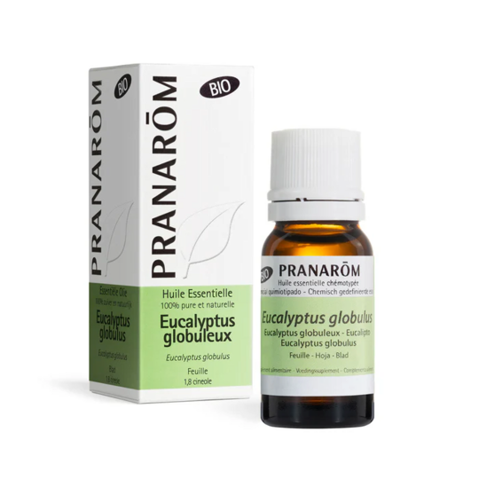 Pranarom Huile Essentielle d'Eucalyptus globuleux BIO 10 ml