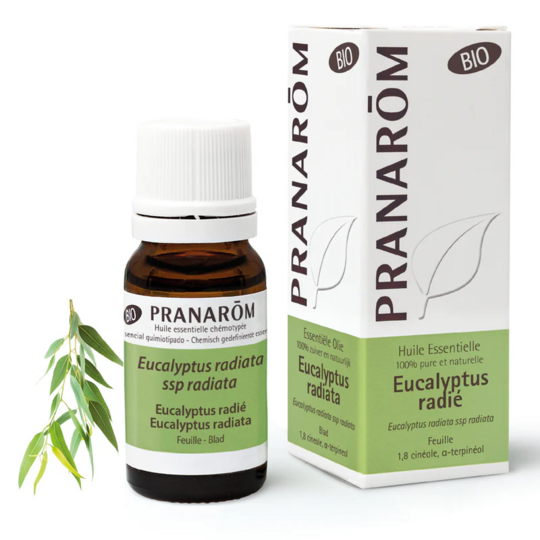Pranarom Huile Essentielle d'Eucalyptus radié BIO 10 ml