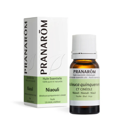 Pranarom Huile Essentielle de Niaouli 10 ml