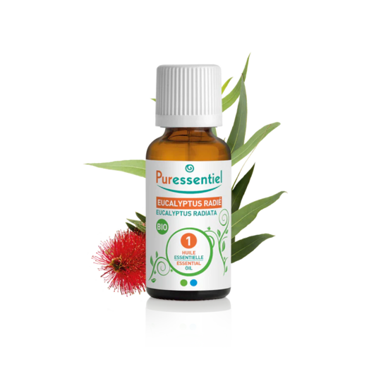 Puressentiel Huile Essentielle Eucalyptus Radié BIO 30 ml