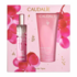 Caudalie Eaux Fraîches et Parfums Coffret Eau Fraîche Rose de Vigne Coffret Noel 2025
