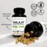 Feel Pure Shilajit 60 gélules